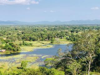 Kolla Watersong Eco Cabana Resort Sigiriya - 0