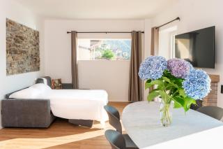 DN ART ROYALE - APT N vasca idromassaggio interno piano terra -APT D esclusivo terrazzo esterno con jacuzzi - Blevio - 1