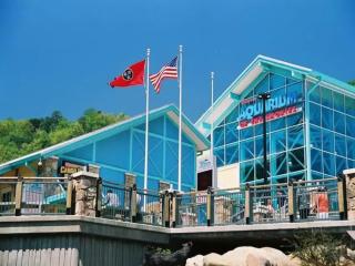 The Great Dogwood Manor by Stony Brook Cabins - 4