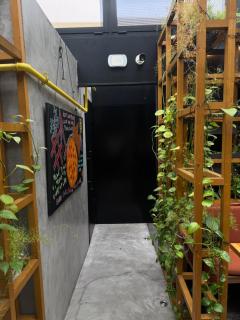 Apartament 4 Regie Orhideea - 9