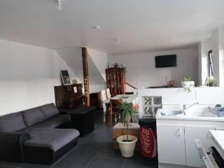 A 100 m de la grande plage à Saint-Lunaire - 6