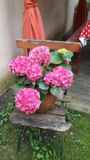 Gîte de caractère au calme , proche quartier historique, Au Merlenchanteur - 7