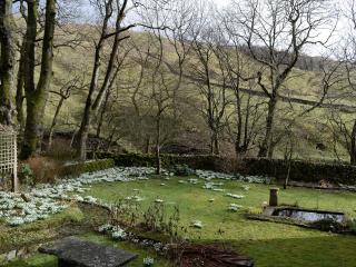 Angram Farmhouse - 1