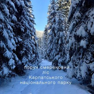 Cottage PolyaNitsa окремий котедж з каміном - 8