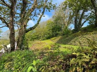 Bridge View - Cottage - 5