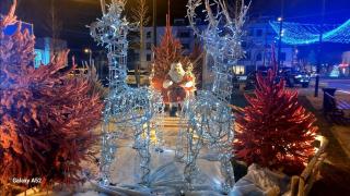 La Coccinelle, votre Oasis entre Paris-Disney - 2