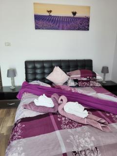 Dumbrava Ursului - 2