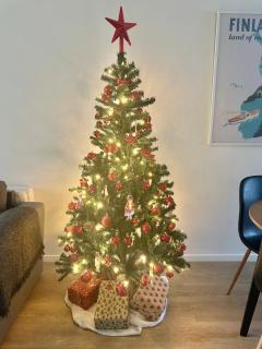 Elegant apartment with Sauna in the center - 9