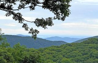 New! Scenic Wintergreen Home Dog Friendly - 6