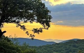 New! Scenic Wintergreen Home Dog Friendly - 7