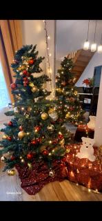 La Coccinelle, votre Oasis entre Paris-Disney - 0