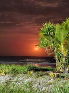 Vog Marine, pé na areia - beira do mar, apê novo! - 1