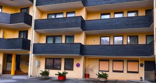 Susis Alpen Apartment - 2