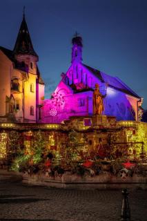 L'Adresse Studio Rempart sud - centre historique Eguisheim - 7