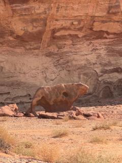 outdoor camping under the stars - 3