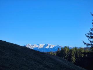 Pensiunea Kyfana Zarnesti - 7