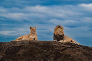 Oloiba Nkuti Lodge - 9