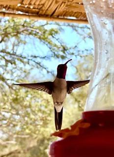 El Huarango Eco Lodge - 9
