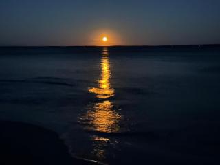 Serene Getaway - Callala Beach - 0