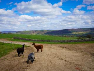 Lathkill Cottage - 9