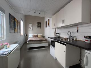 Cozy guesthouse near the city center and Pedersgata - 0