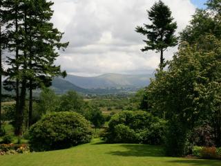 Carrigbaun - 1
