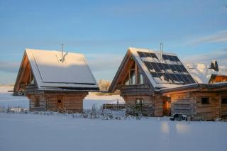Log Cabins In The Upper Harz Mountains - 9