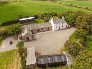 Ffynnonddewi Farmhouse - Qc1535 - 7