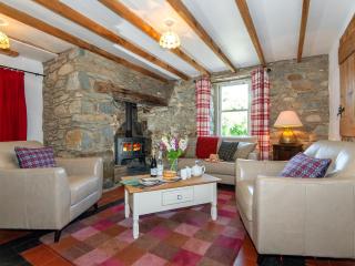 Ffynnonddewi Farmhouse - Qc1535 - 9