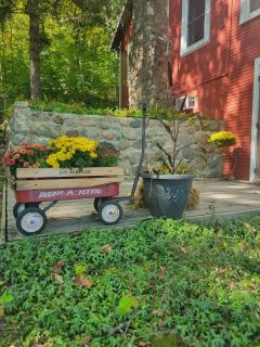 Lakefront Fun on Papakeechie | Kayaks & More! - 2