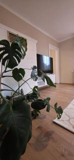 Ferienwohnung Mary - 4