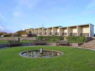 Little Seahorse - Ukc1066 - 1