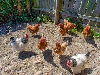 The Retreat - Uk48331 - 4