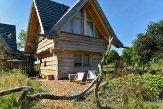 Log Cabin With Sauna In The Upper Harz Mountains - 0