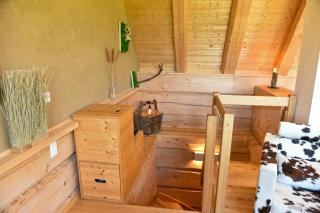Log Cabin With Sauna In The Upper Harz Mountains - 1