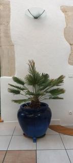 Place of the Goddess - 1