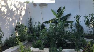 Au cœur de Demina - 7