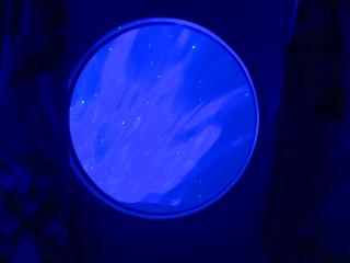 Wychwood - Uk49559 - 4