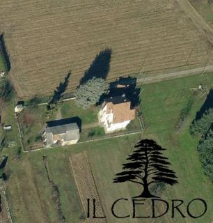 Il Cedro - 9