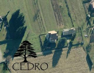 Il Cedro - 8