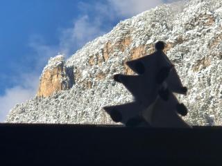 Lauton Dolomiti Relax Apartment - mit Jacuzzi-Badewanne - 4