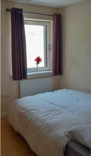 Quiet & nice flat-East london-E7 - 3