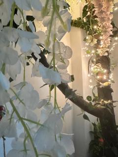 Wanderland by Eden Luxury - 3