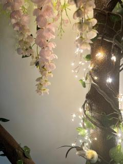 Wanderland by Eden Luxury - 1