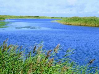 5 person holiday home in Hemmet - 2