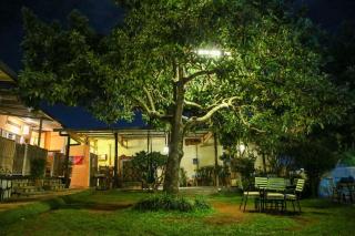 Tea House Apartment - 4