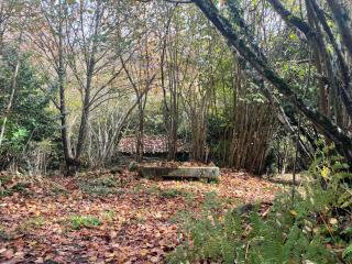 House in forest proche GR and circuit - 3