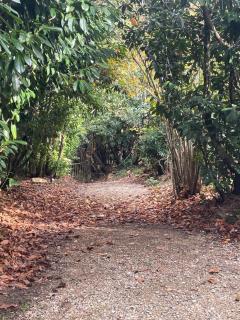 House in forest proche GR and circuit - 8