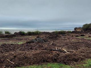 6 person holiday home in Rødvig Stevns-By Traum - 6