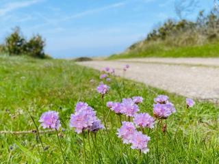 Secluded Haven in Thorup - By Traum Ferienwohnungen - 7